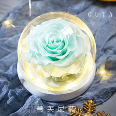 The Beauty and Beast Rose Romantic Valentine's Day Gifts - cutebobo