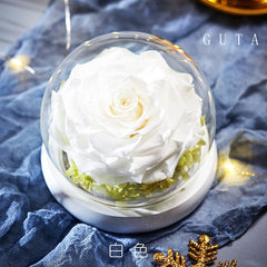 The Beauty and Beast Rose Romantic Valentine's Day Gifts - cutebobo