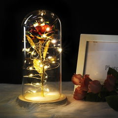 Valentine's Gifts LED Rose Lamps - cutebobo