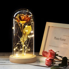 Valentine's Gifts LED Rose Lamps - cutebobo