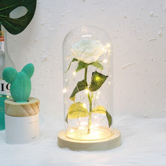 Valentine's Gifts LED Rose Lamps - cutebobo